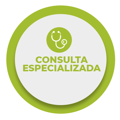 consultaespecializadaservicios