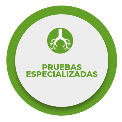 pruebas especializadas